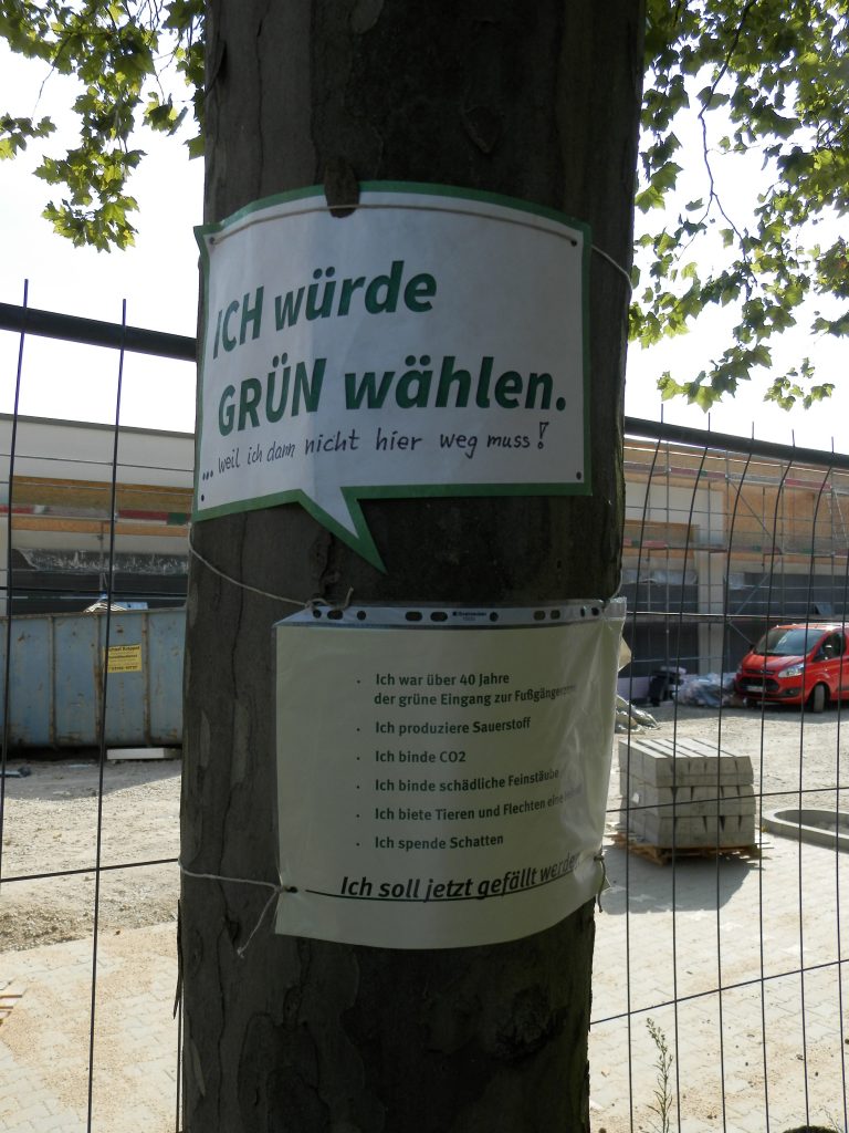 Protestaktion gegen Platanen-Fällung in Lobberich