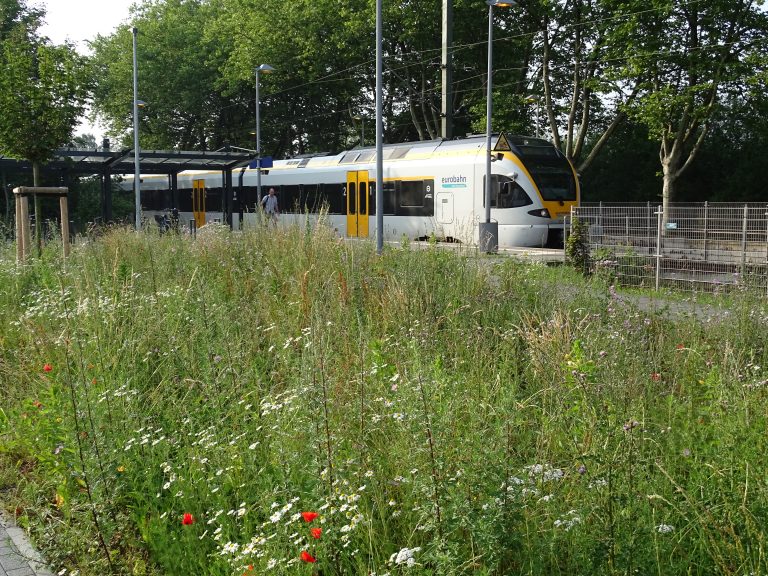 Mobiltätsstation Bahnhof durch E-Lademöglichkeiten ausbauen – Antrag der Grünen