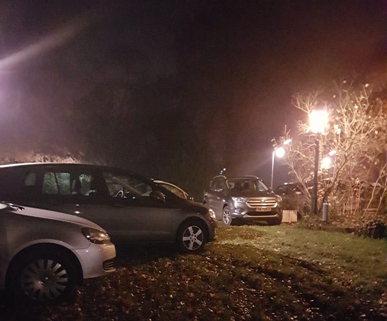 Anfrage zu wildem Parken im Ingenhovenpark